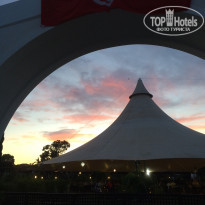 фото из отзыва ID 2032213