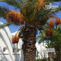 фото из отзыва ID 2032213