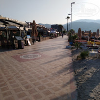 фото из отзыва ID 2032258