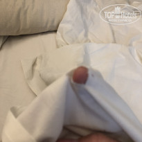 фото из отзыва ID 2032296