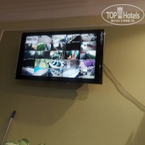 фото из отзыва ID 2031457