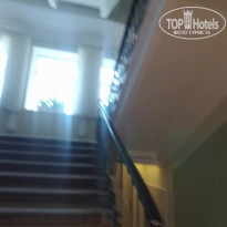 фото из отзыва ID 2031457