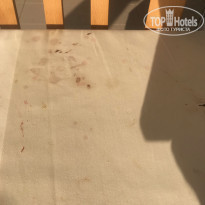 фото из отзыва ID 2032310