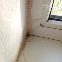 фото из отзыва ID 2032376