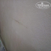 фото из отзыва ID 2032376