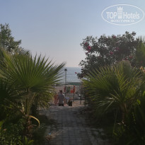 фото из отзыва ID 2032388