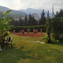 фото из отзыва ID 2032302