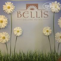 фото из отзыва ID 2032409