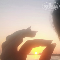 фото из отзыва ID 2032415