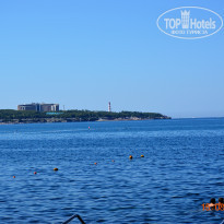 фото из отзыва ID 2032341