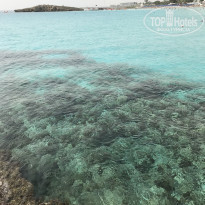 фото из отзыва ID 2032480