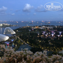 фото из отзыва ID 2032535