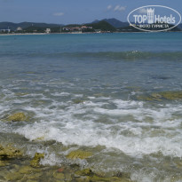 фото из отзыва ID 2032608