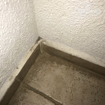 фото из отзыва ID 2032664