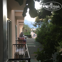 фото из отзыва ID 2032668