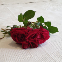 фото из отзыва ID 2032740