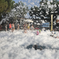 фото из отзыва ID 2032756