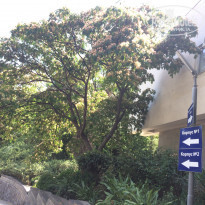 фото из отзыва ID 2032795