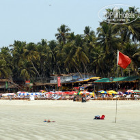 фото из отзыва ID 2032569