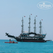 фото из отзыва ID 2032655