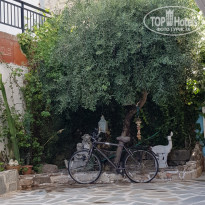 фото из отзыва ID 2032868