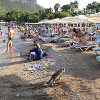 фото из отзыва ID 2032899