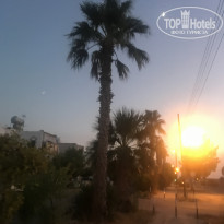 фото из отзыва ID 2032950