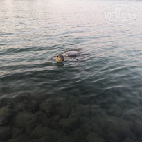 фото из отзыва ID 2032953