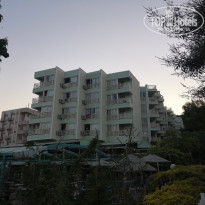 фото из отзыва ID 2032953