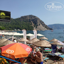 фото из отзыва ID 2032972