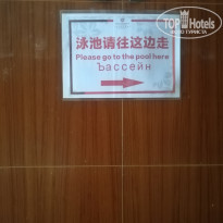 фото из отзыва ID 2033013