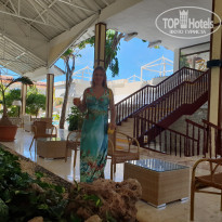 фото из отзыва ID 2033031