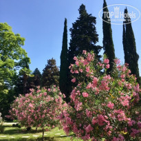 фото из отзыва ID 2032709