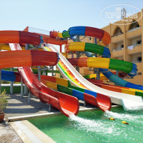 фото из отзыва ID 2033126