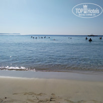 фото из отзыва ID 2031364