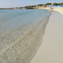 фото из отзыва ID 2031364