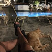 фото из отзыва ID 2033339