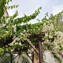 фото из отзыва ID 2033383