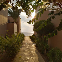 фото из отзыва ID 2033383