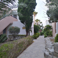 фото из отзыва ID 2033383