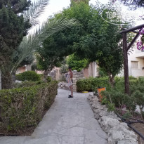 фото из отзыва ID 2033383