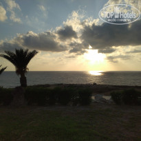 фото из отзыва ID 2033383