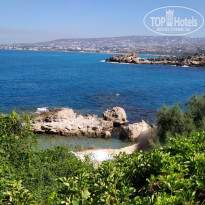 фото из отзыва ID 2032749