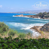 фото из отзыва ID 2032749