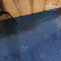 фото из отзыва ID 2033487