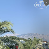 фото из отзыва ID 2033521