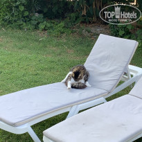 фото из отзыва ID 2033521