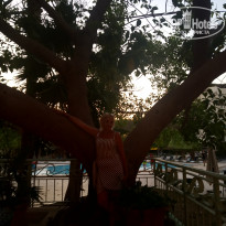 фото из отзыва ID 2033511