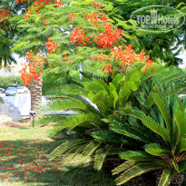 фото из отзыва ID 2033562