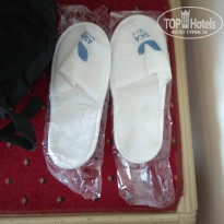 фото из отзыва ID 2033534